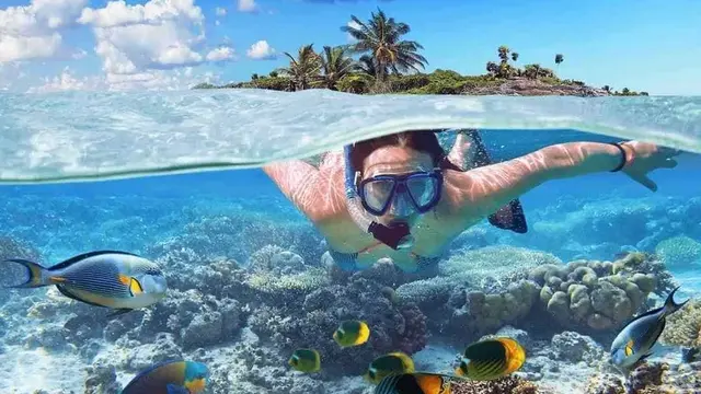 Rekomendasi Spot Snorkeling Terbaik di Indonesia
