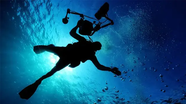 8 Spot Diving Terbaik di Indonesia untuk Pecinta Laut